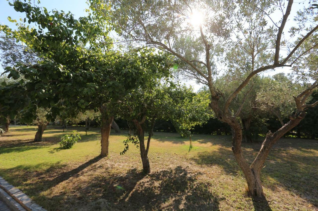 Villa Argo 3 - Beachfront, Big Gardens, Location! Pefkochori Dış mekan fotoğraf